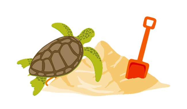 Turtle on sandcastle