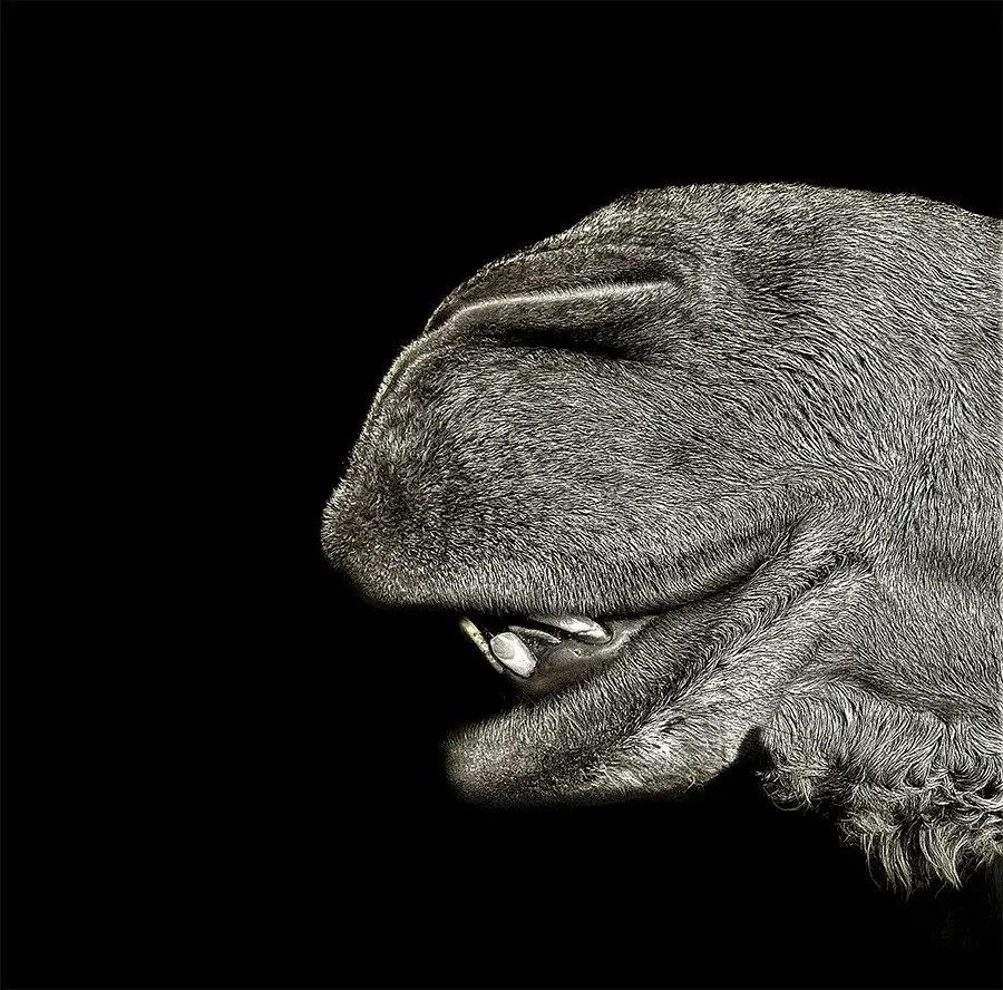 Zara Austin - A toothy grin