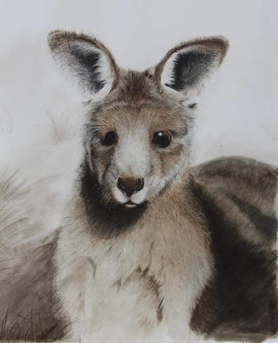 Donna Prentice - Hello kangaroo