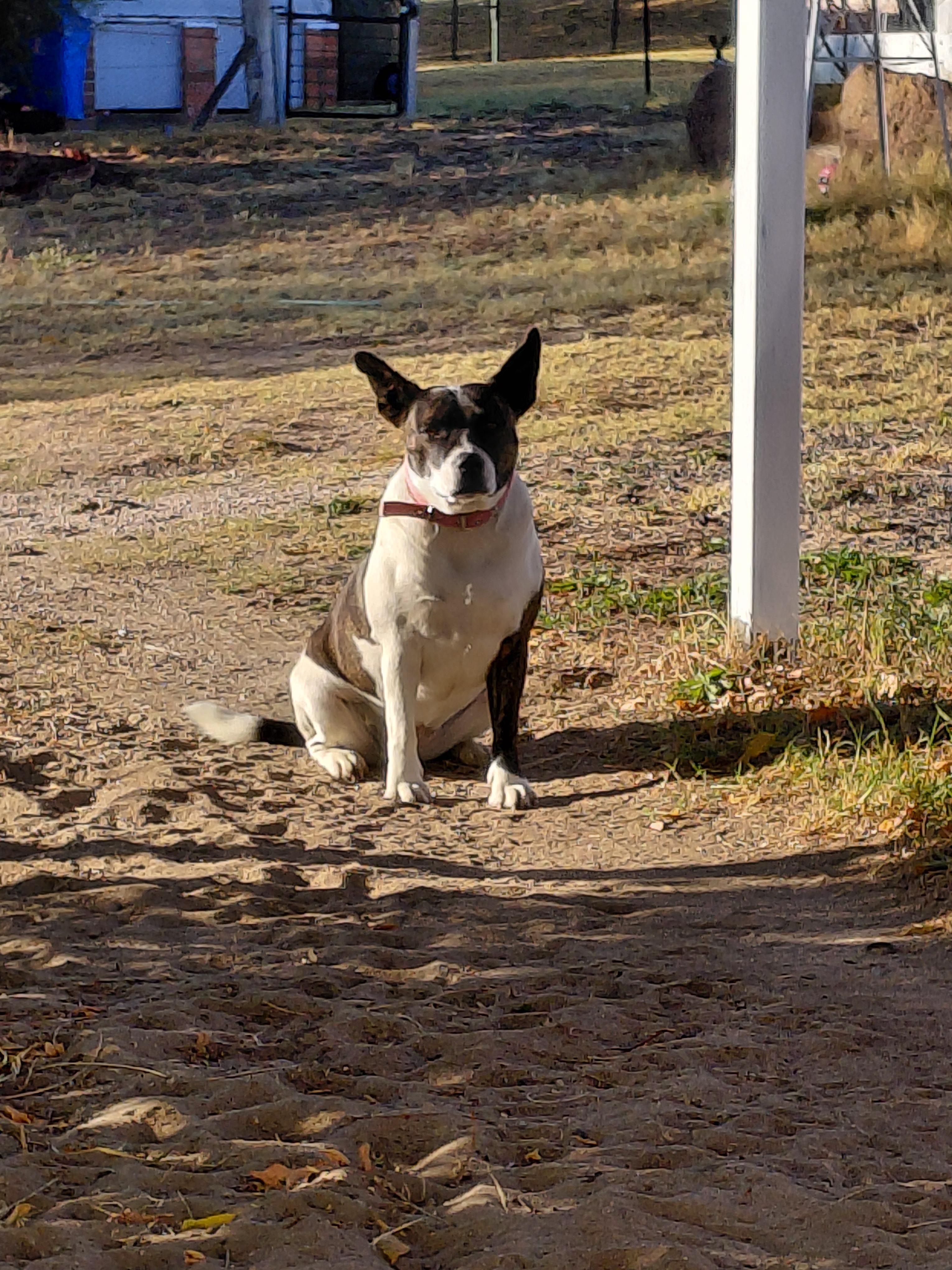 Roxy