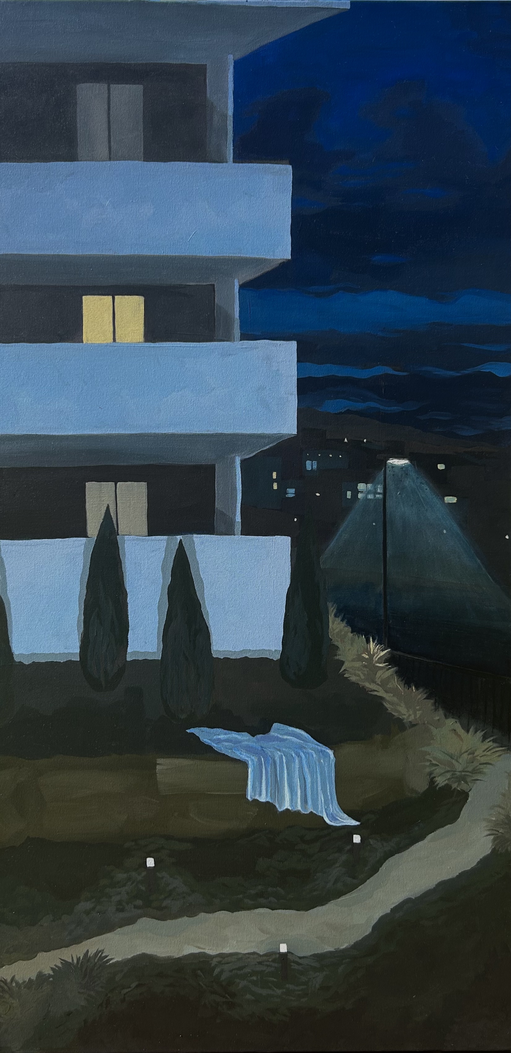Suburbia at Night