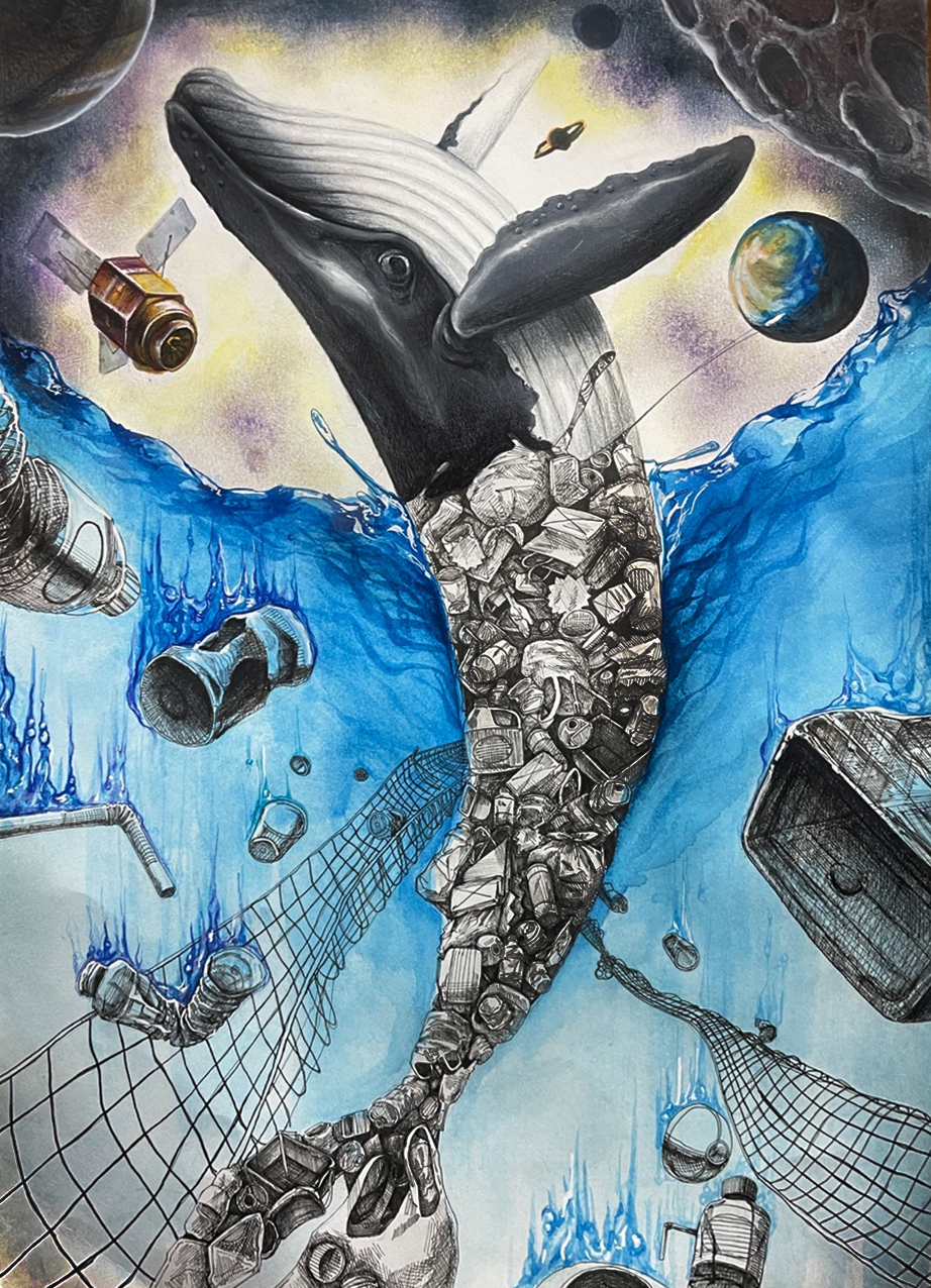 Pollution