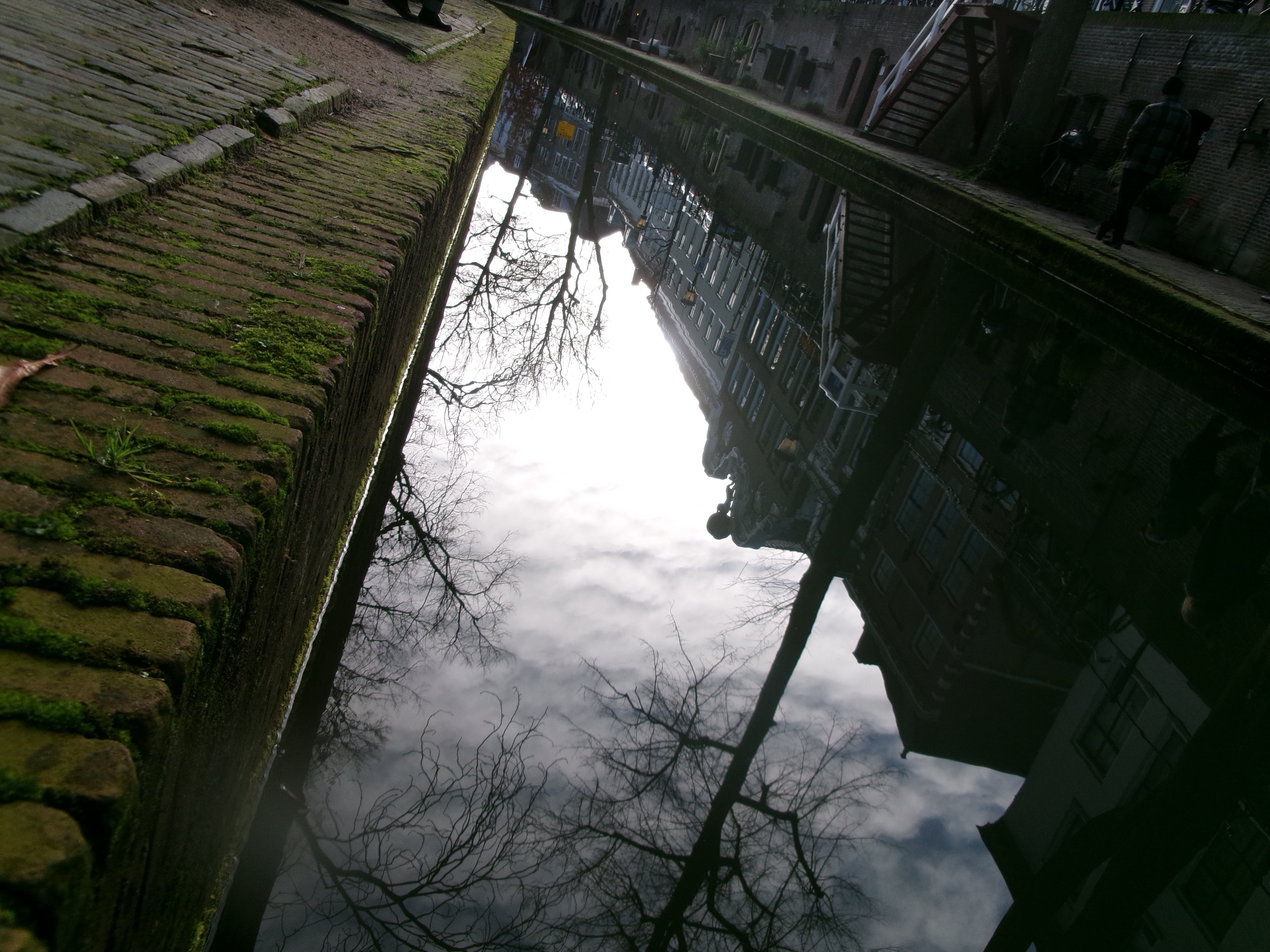 Reflections of Three