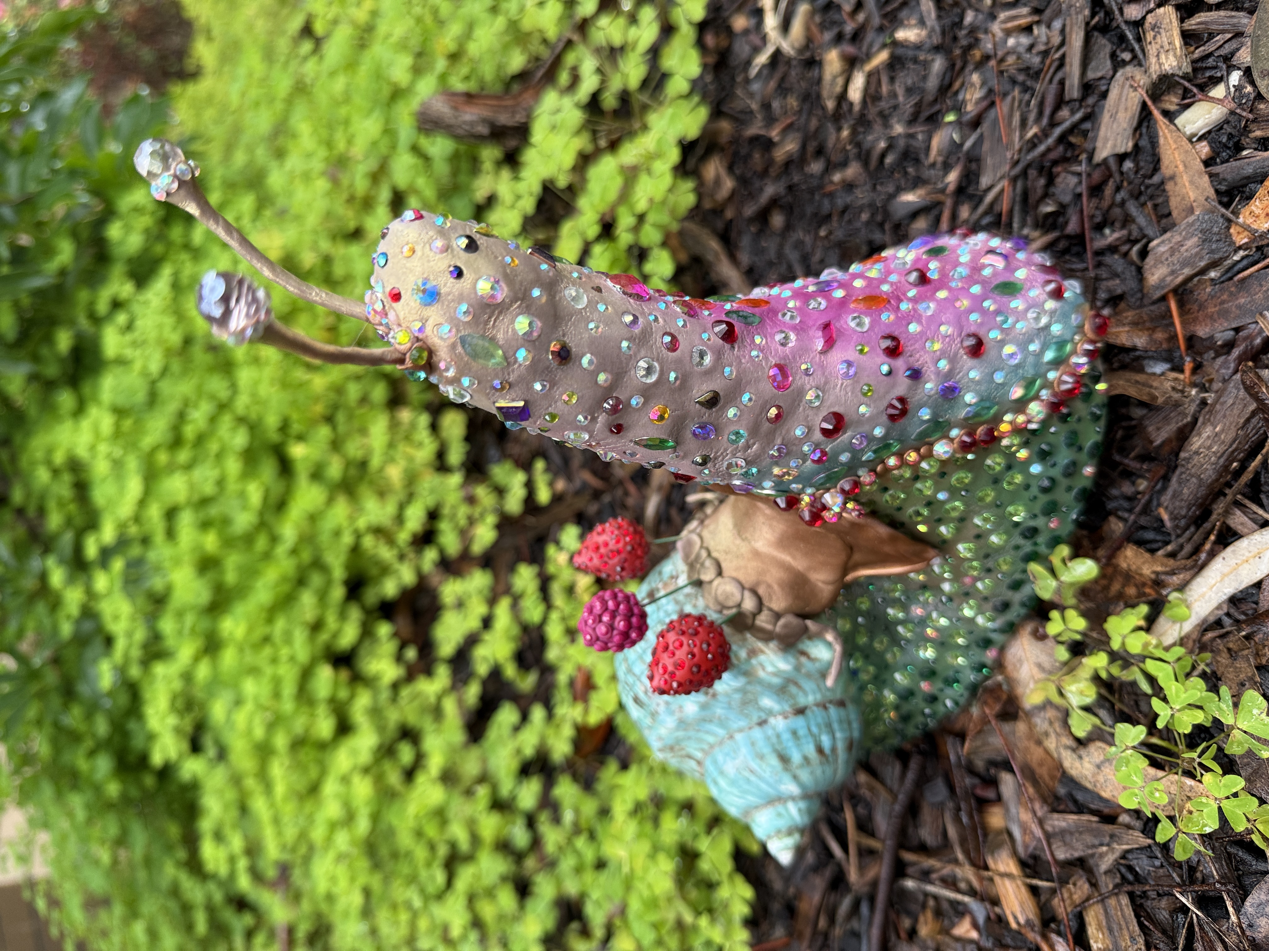“Lady Marmaberry”
